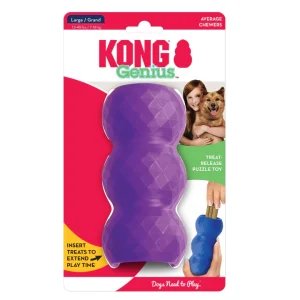 KONG Genius Mike Mental enrichment toy for English Bulldog Toys