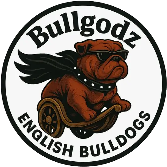 bullgodzhq.com logo