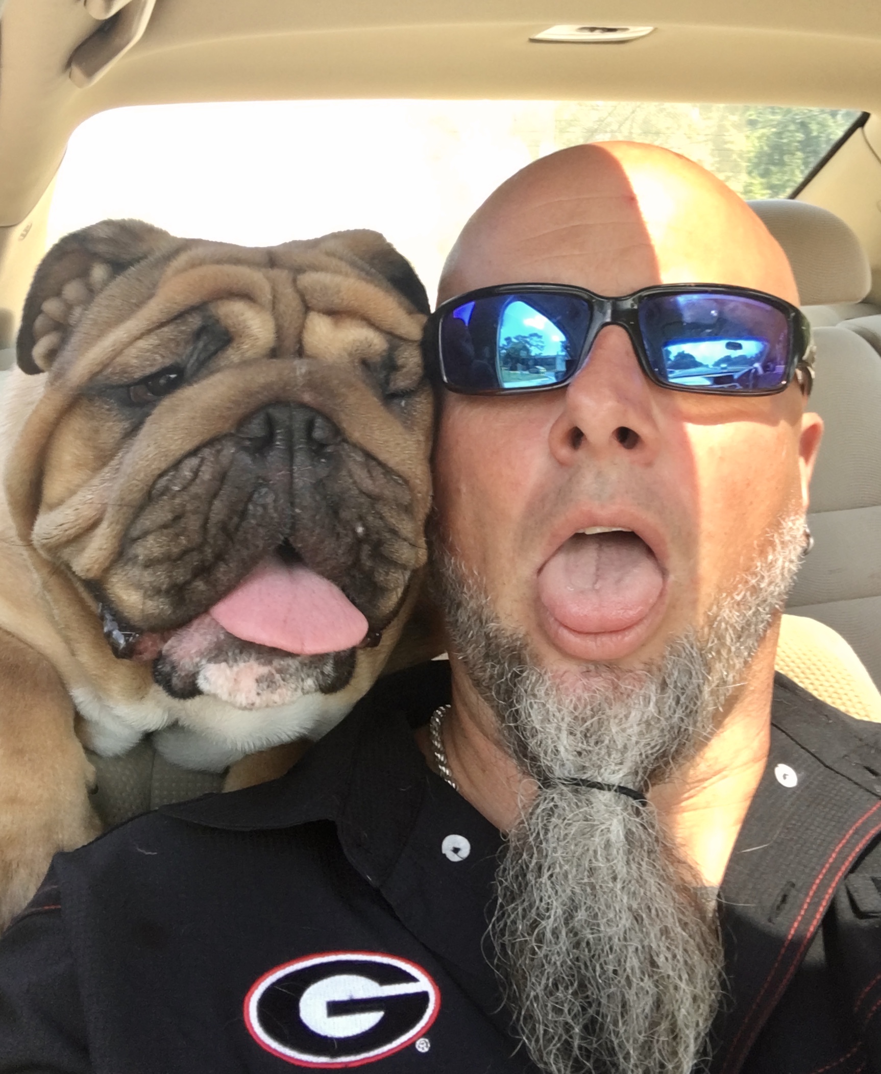 Bulldog Pride Loving Every Wrinkle, Snort, & Stubborn Moment