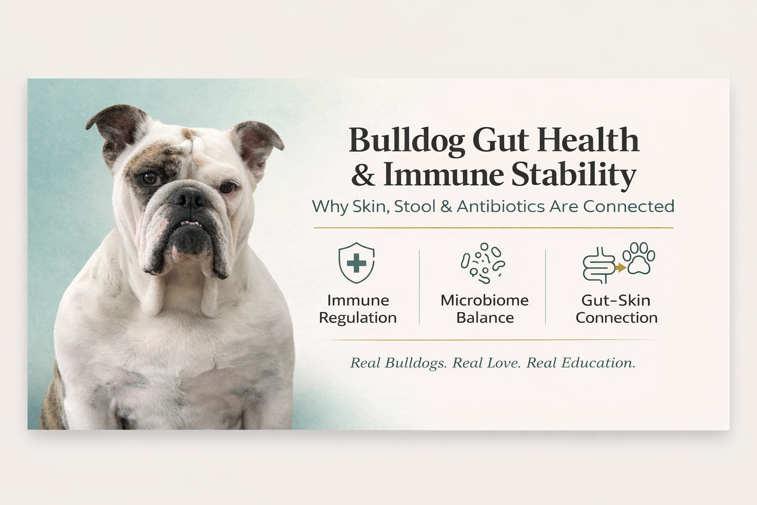 Bailey Gut health infograph