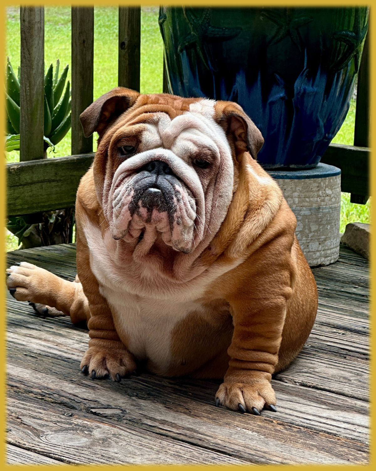 Rosie