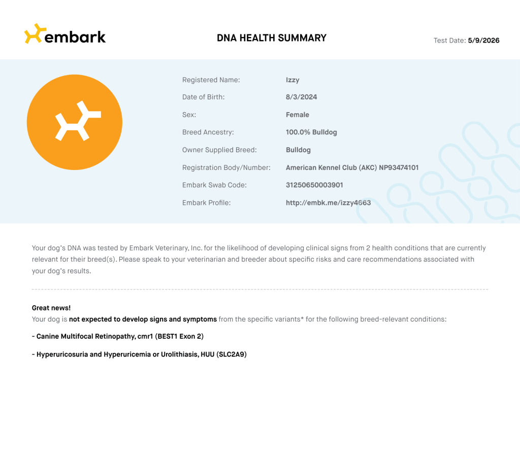Izzy DNA certificate